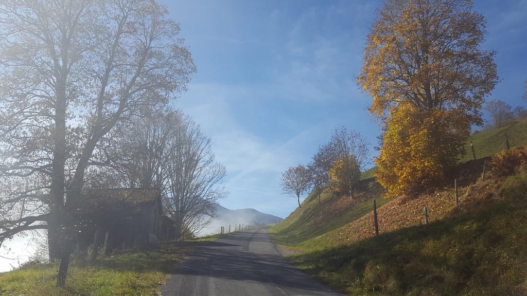 Apartmán Haus Salzachblick Piesendorf Exteriér fotografie